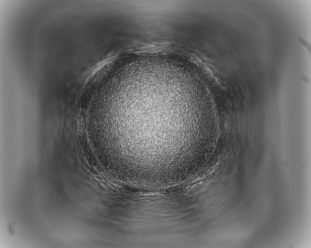 X0000098011350200804111223