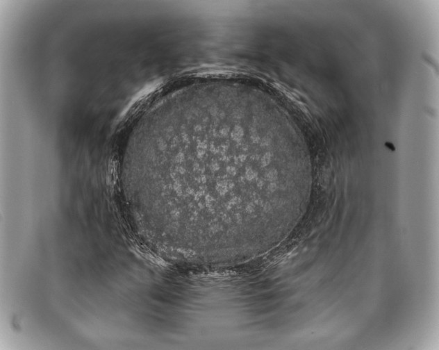 X0000098011351200804111223