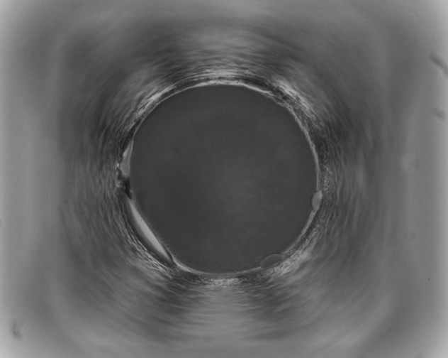 X0000098011353200804111223