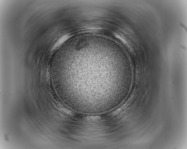 X0000098011354200804111223