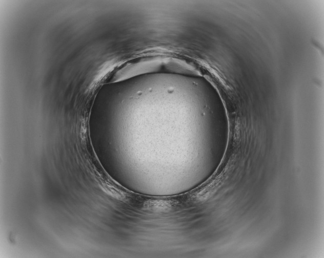 X0000098011355200804111223