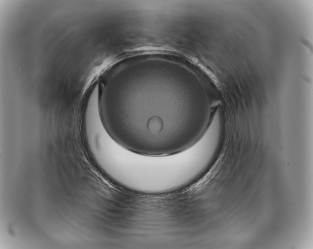 X0000098011357200804111223