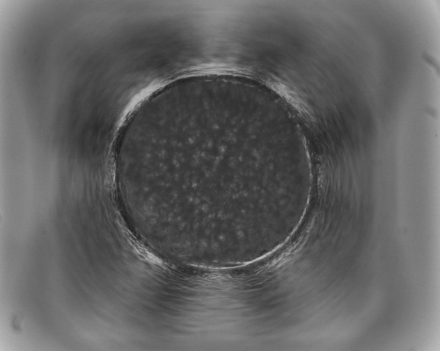 X0000098011358200804111223