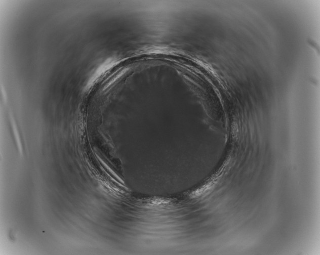 X0000098011359200804111223