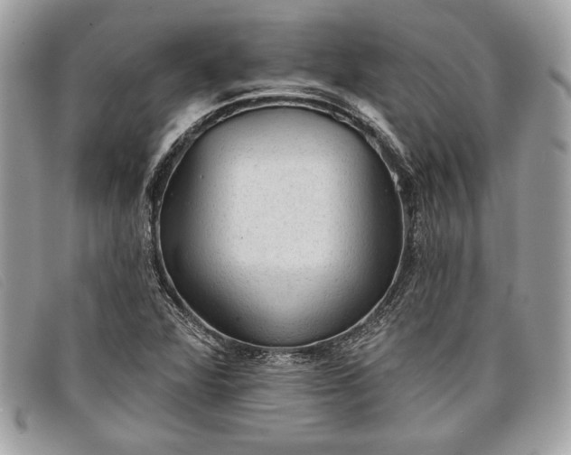 X0000098011360200804111223