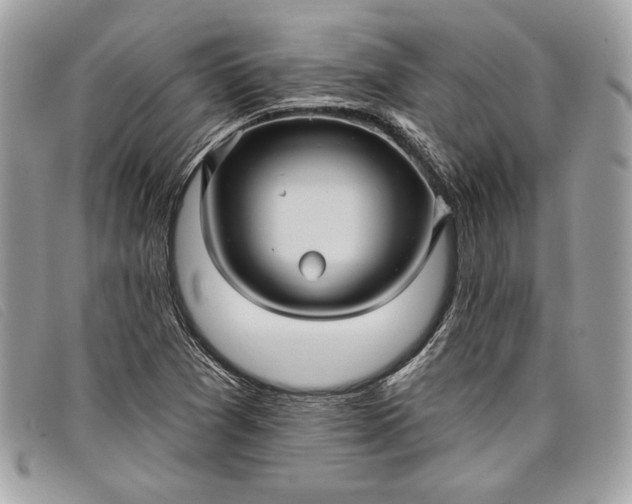 X0000098011361200804111223