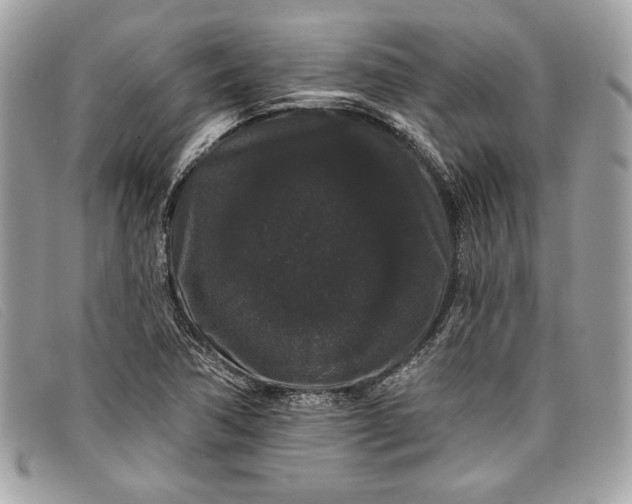 X0000098011362200804111223