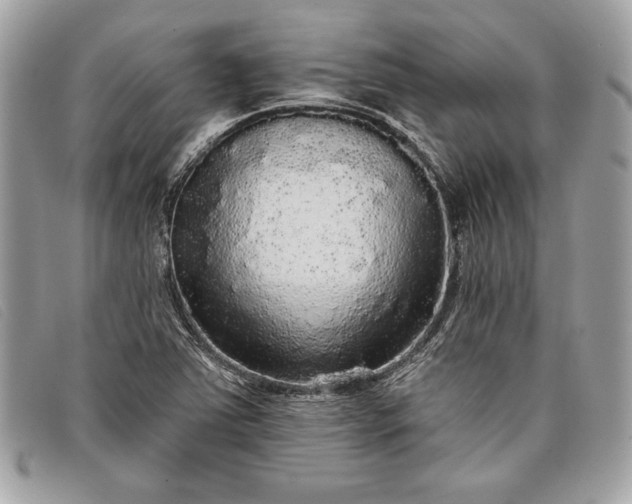 X0000098011363200804111223