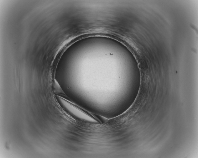 X0000098011364200804111223