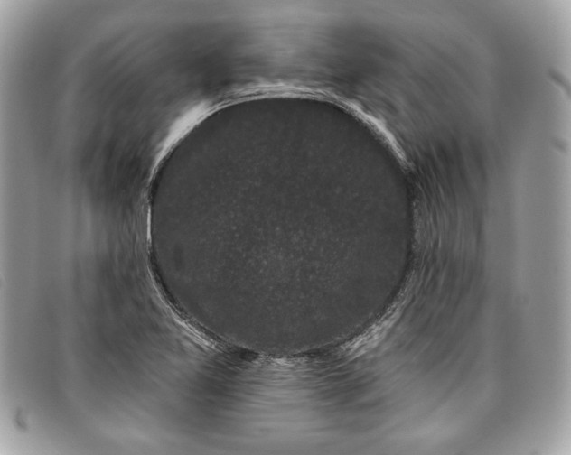 X0000098011365200804111223