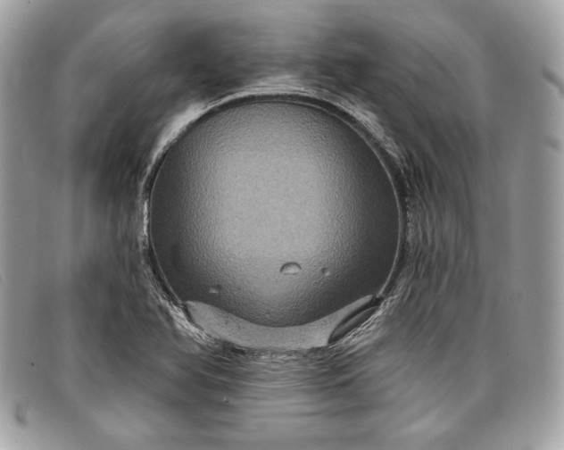 X0000098011366200804111223