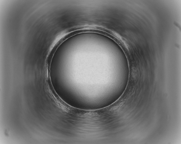 X0000098011368200804111222