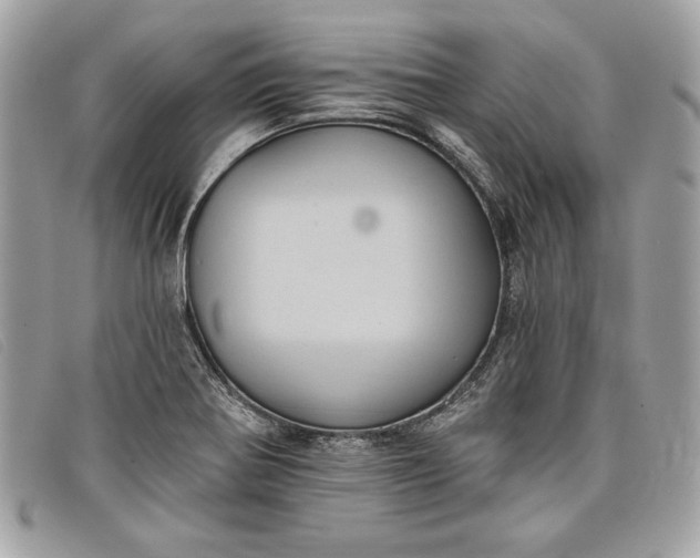 X0000098011370200804111222