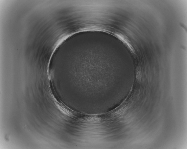 X0000098011372200804111222