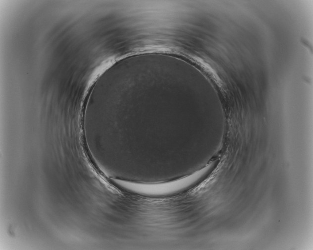 X0000098011373200804111222