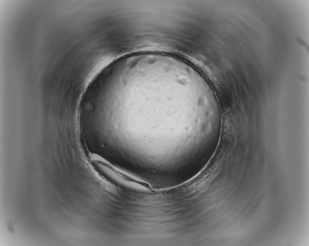 X0000098011375200804111222