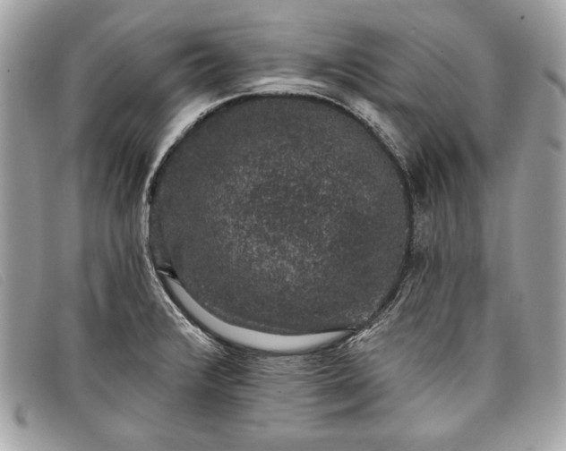 X0000098011376200804111222