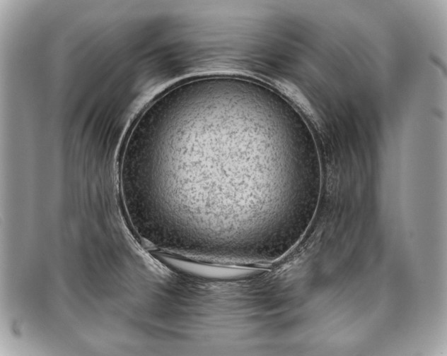 X0000098011380200804111222