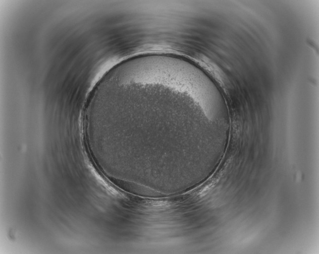 X0000098011382200804111222