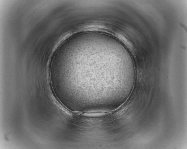 X0000098011384200804111222