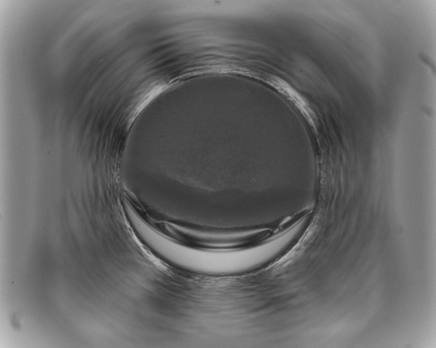 X0000098011385200804111222