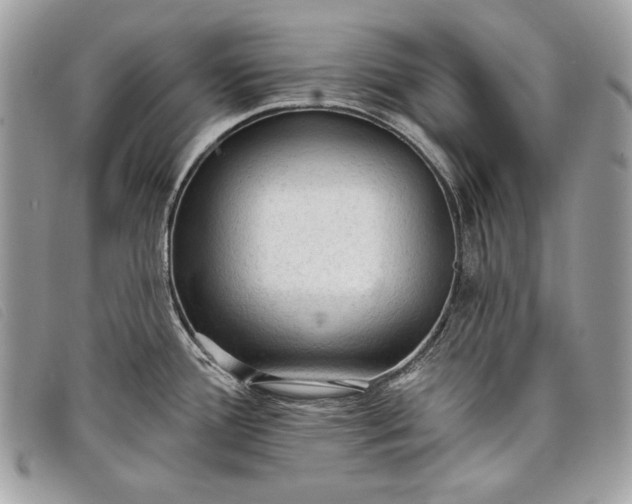 X0000098011388200804111222