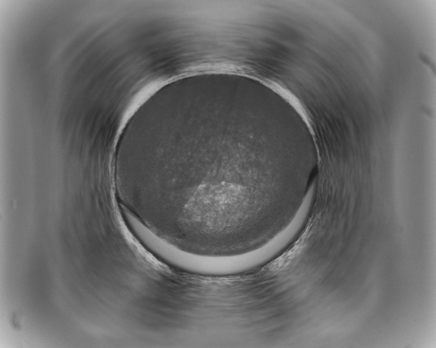 X0000098011389200804111222