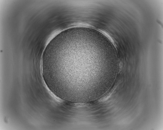 X0000098011391200804111222