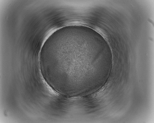 X0000098011392200804111222