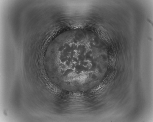 X0000098011393200804111221