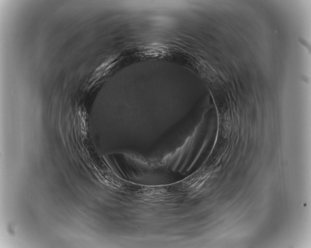 X0000098011394200804111221