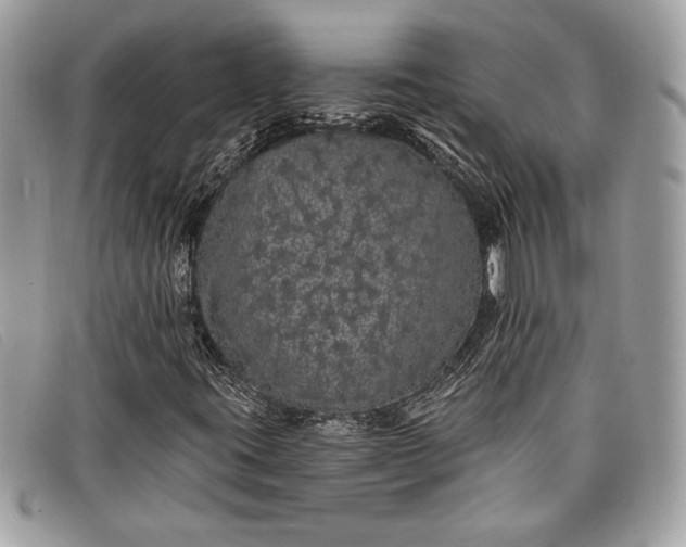 X0000098011395200804111221