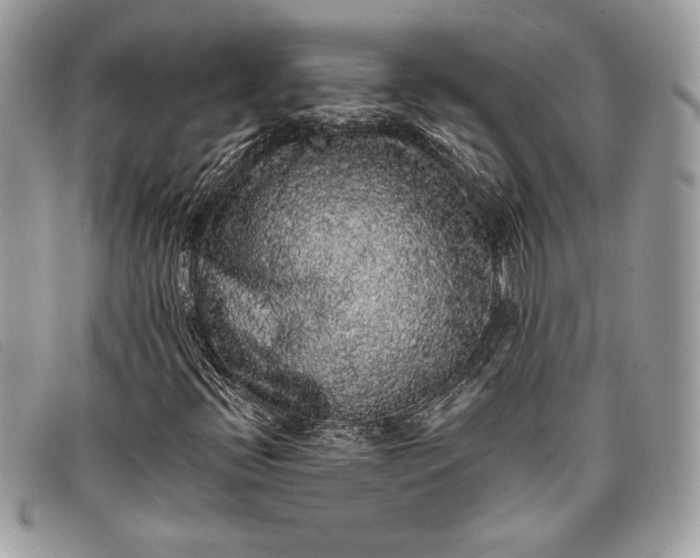 X0000098011396200804111221