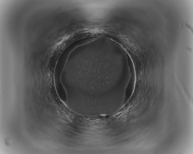 X0000098011398200804111221