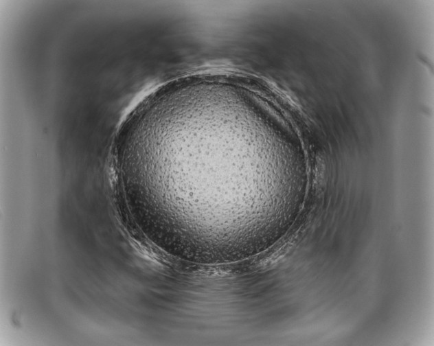 X0000098011400200804111221