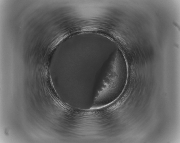 X0000098011401200804111221