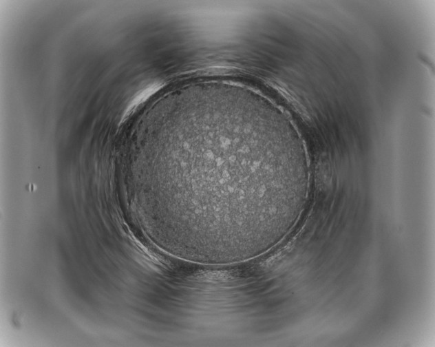 X0000098011402200804111221