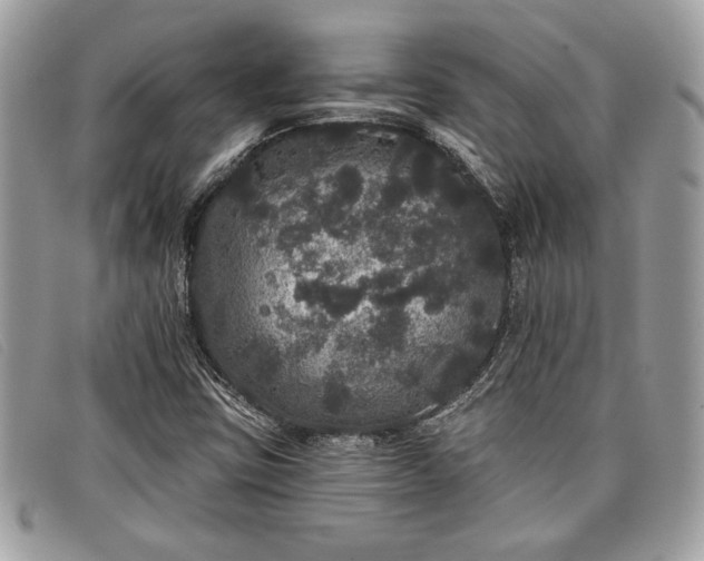 X0000098011403200804111221