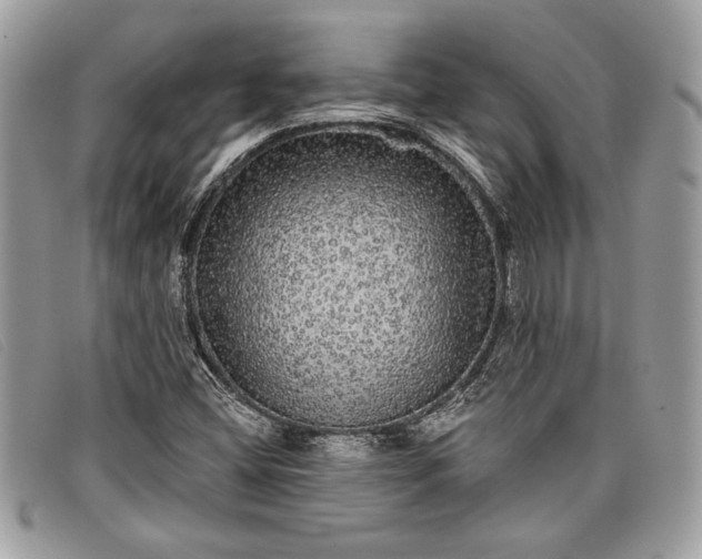 X0000098011404200804111221