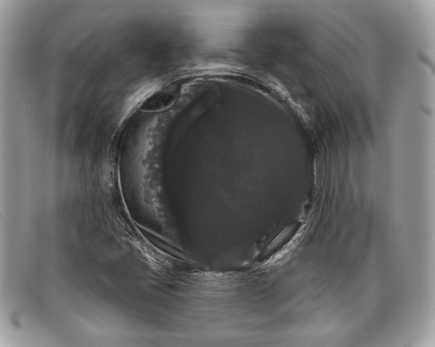 X0000098011405200804111221