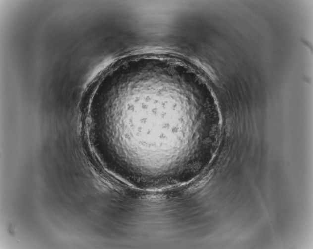 X0000098011406200804111221