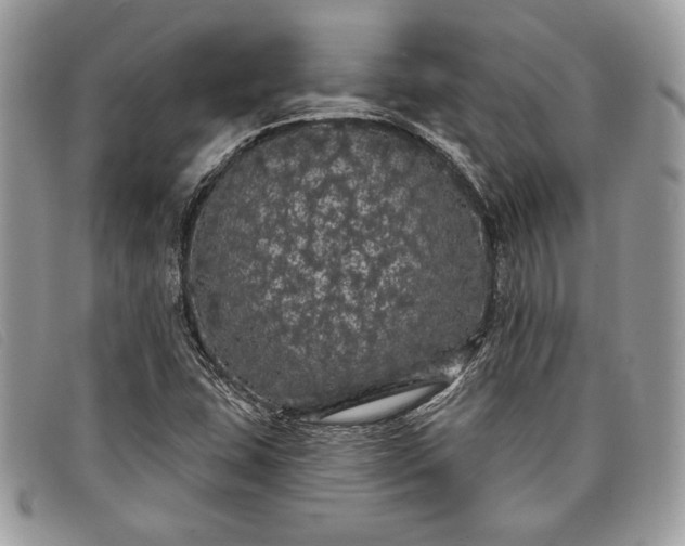 X0000098011407200804111221