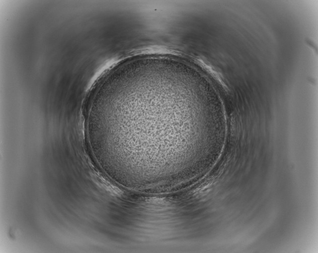 X0000098011408200804111222