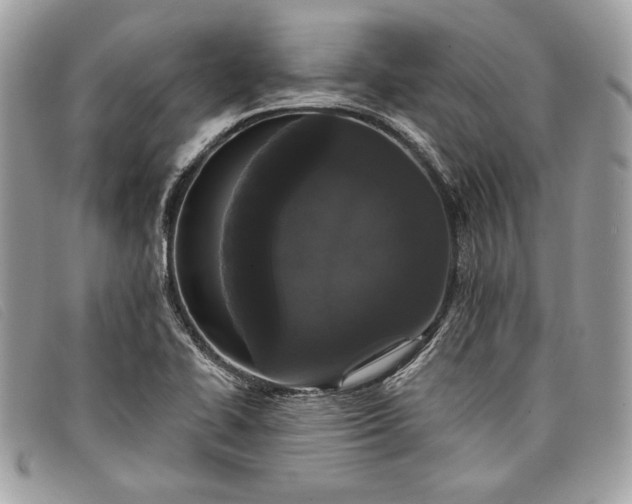 X0000098011414200804111222