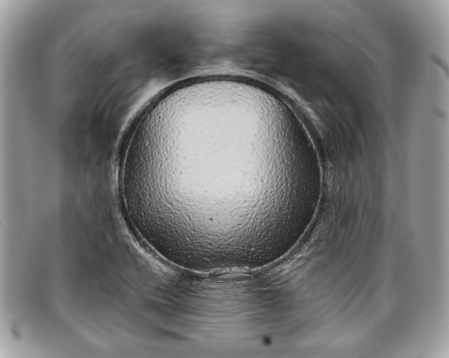 X0000098011416200804111222