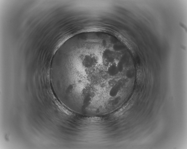 X0000098011417200804111222