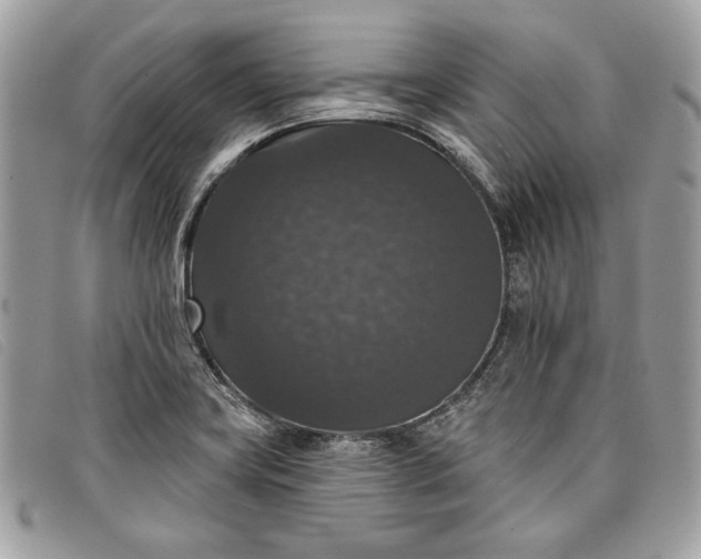 X0000098011419200804111222