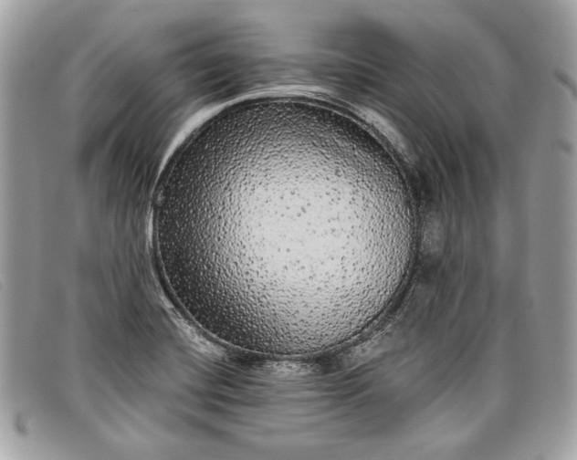 X0000098011420200804111222