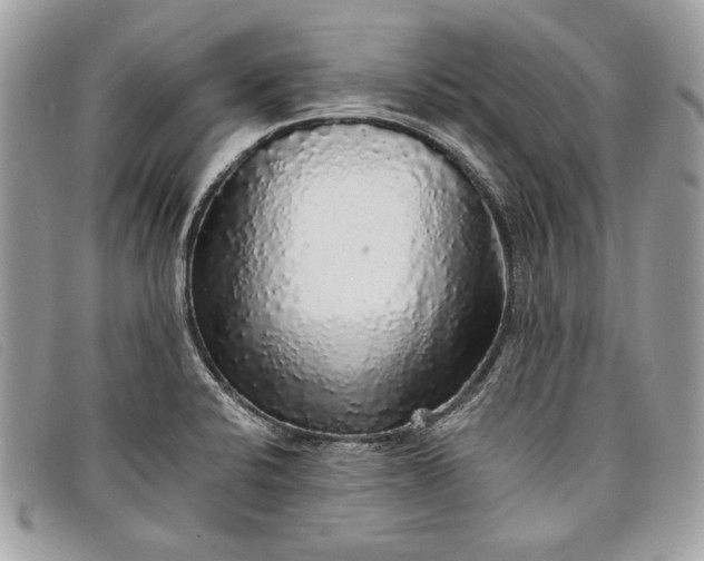 X0000098011424200804111222