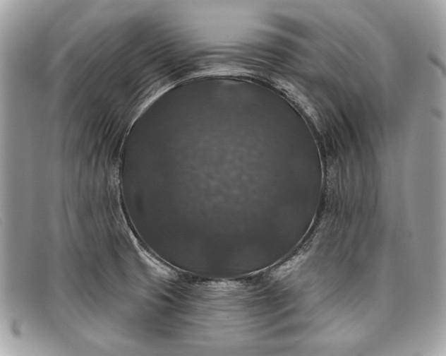 X0000098011425200804111222